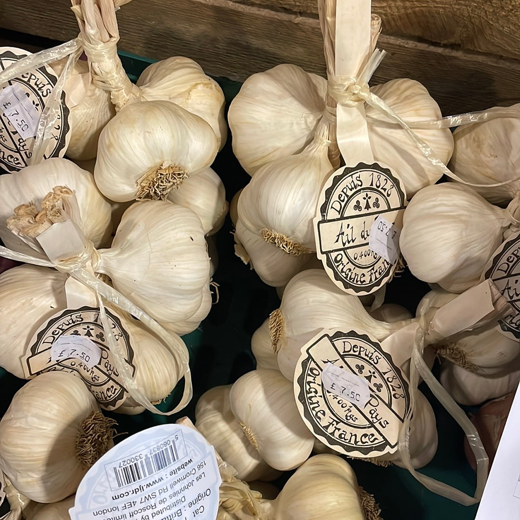Pink Garlic - Onion Johnnies de Roscoff