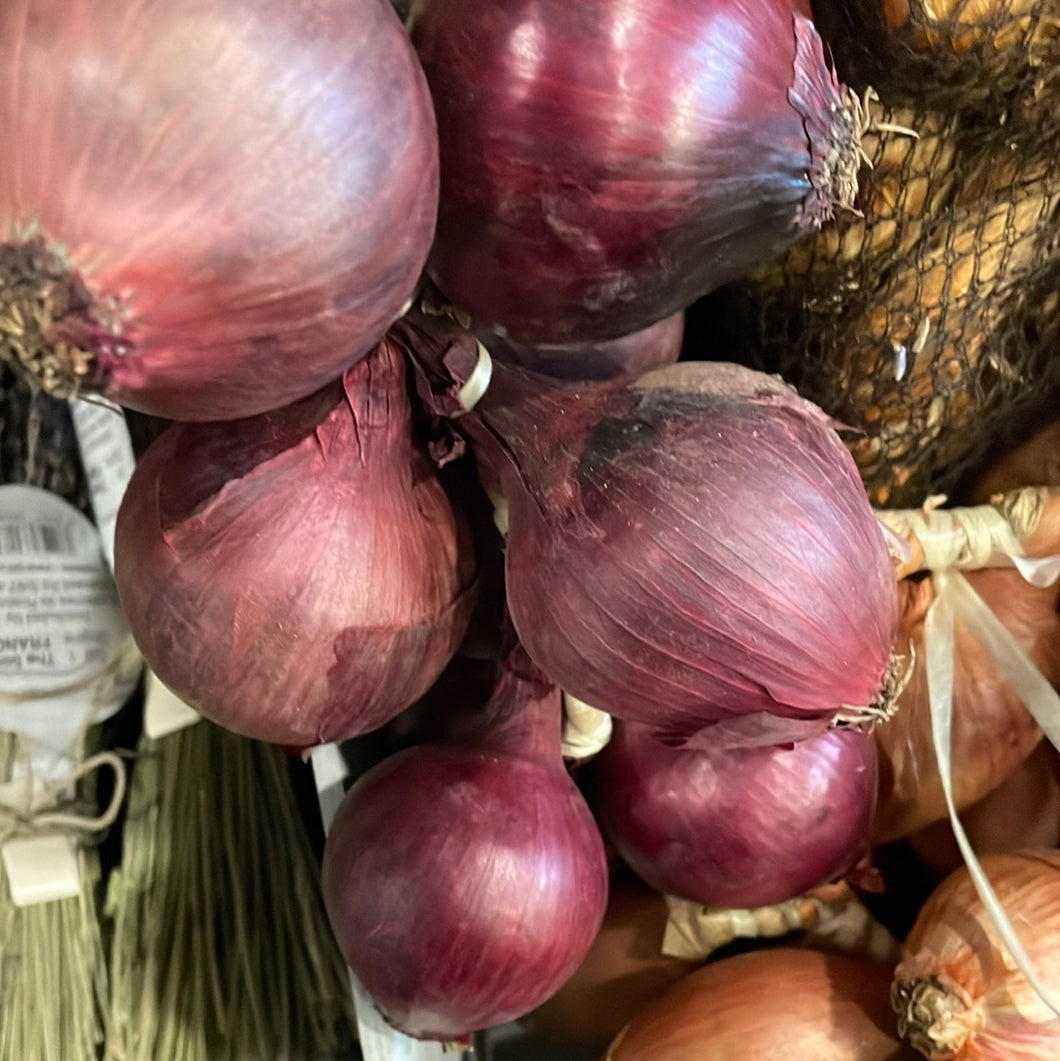 Red Onion String - Onion Johnnies de Roscoff