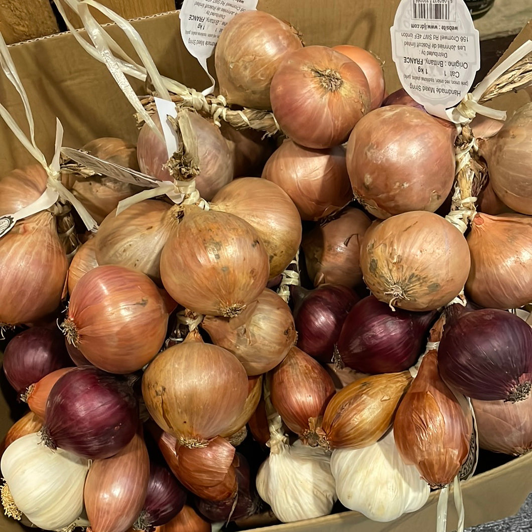 Best Of, Mixed Onion & Garlic String - Onion Johnnies de Roscoff