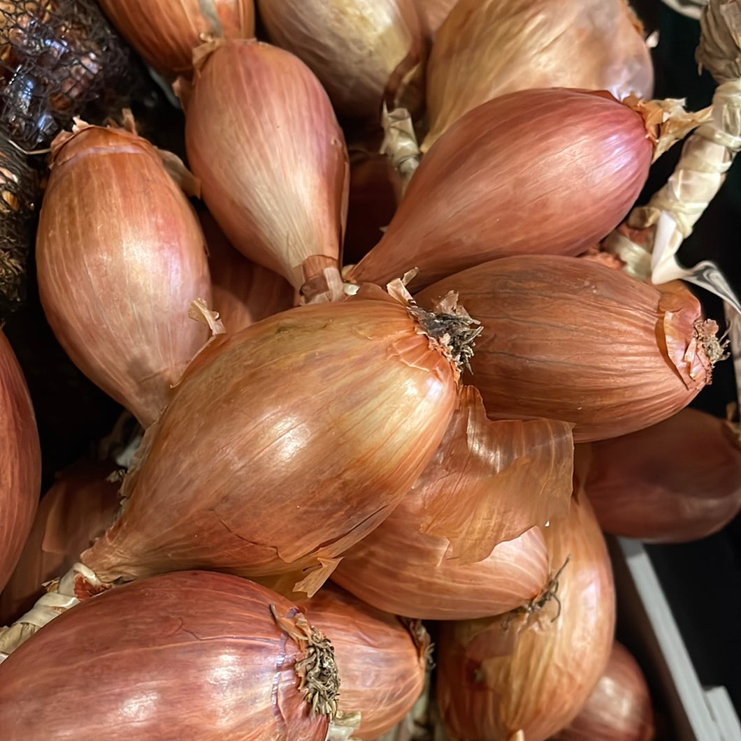 Shallot String - Onion Johnnies de Roscoff