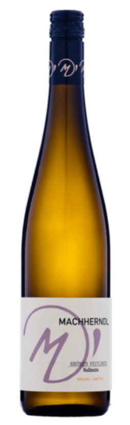 Machherndl Organic Gruner Veltliner 2022 Austria