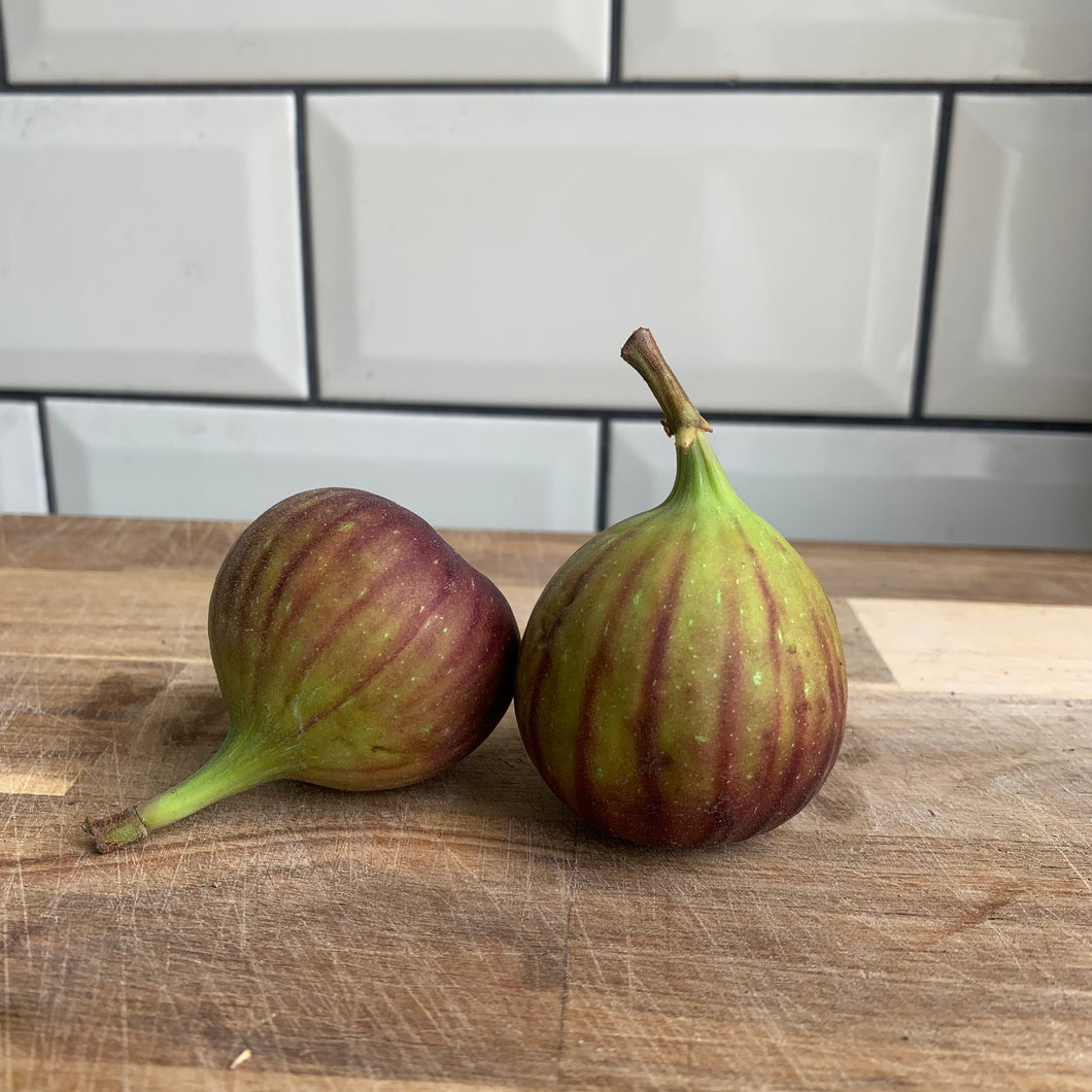 Fig