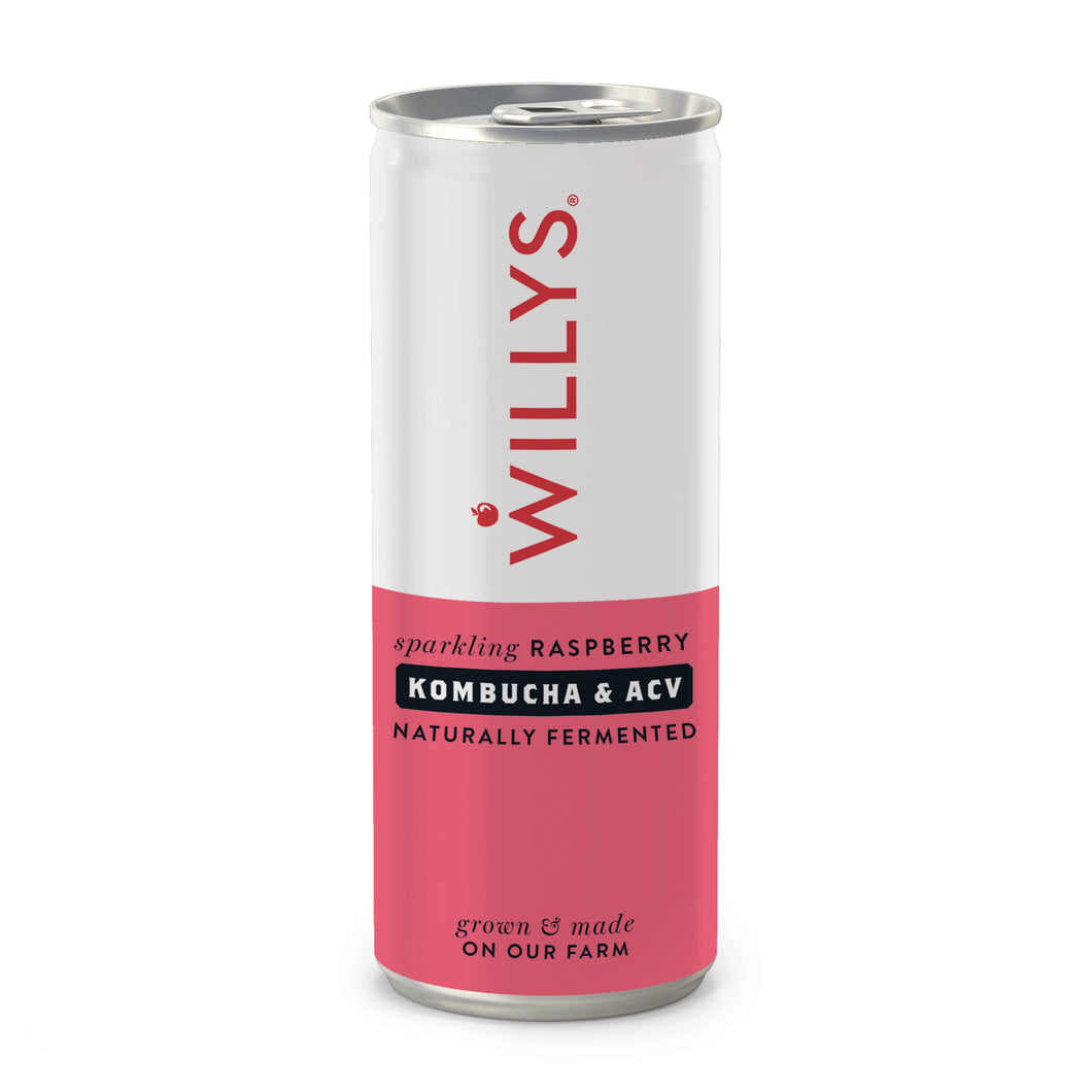 Willy's Raspberry Kombucha & ACV 250ml