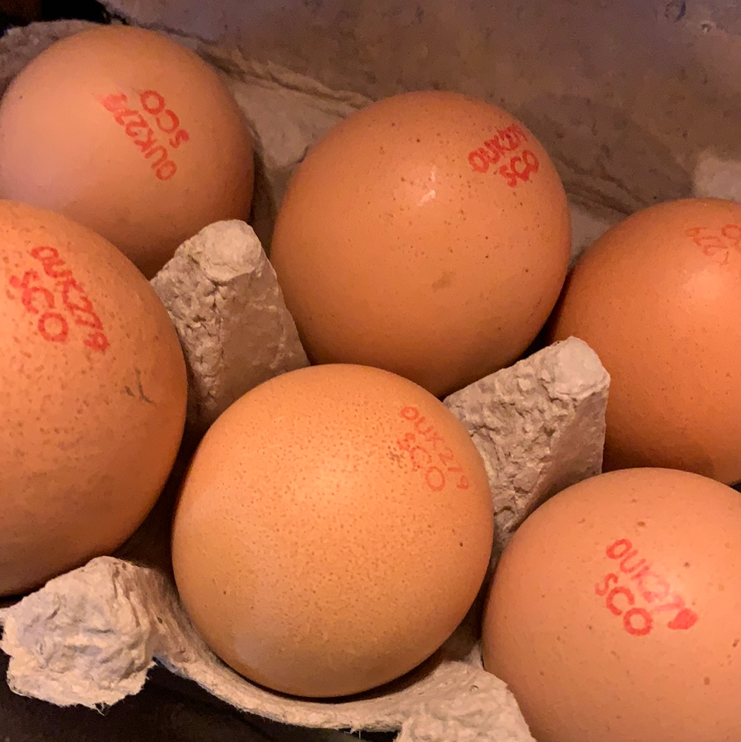 Organic Eggs (6)
